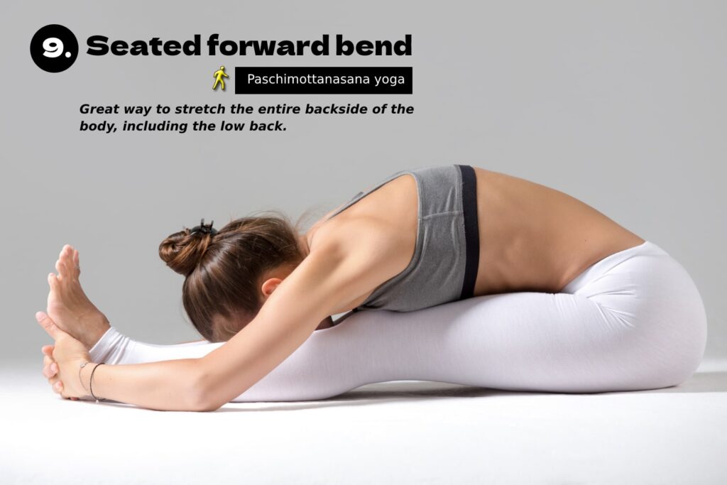 great way to stretch the entire backside of the body, including the low back - Seated forward bend